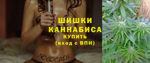 spice Медногорск