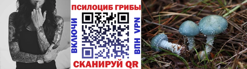 Галлюциногенные грибы GOLDEN TEACHER  Шумерля 