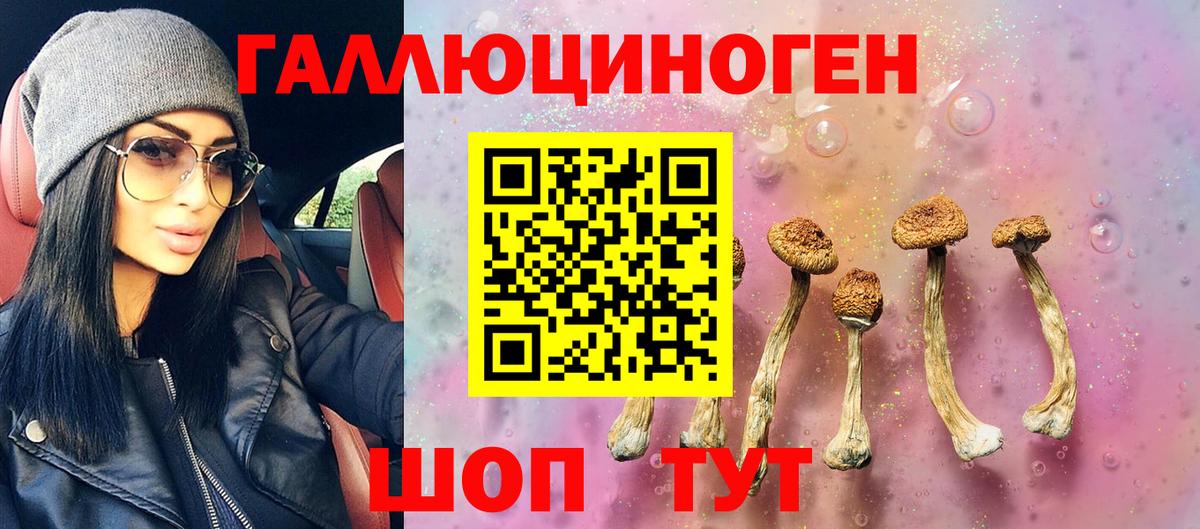 Псилоцибиновые грибы Cubensis Шумерля